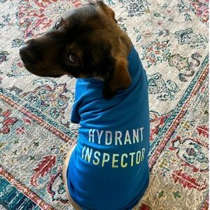 Blue Hydrant Inspector Dog Sweatshirt -M- Boots & Barkley